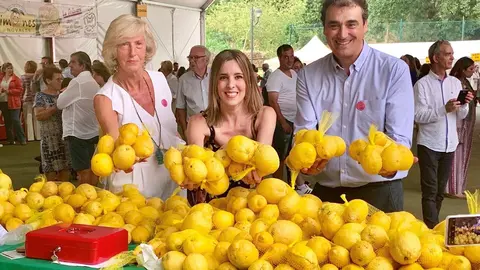 Fiesta de los Limones Solidarios en Alfoz de Lloredo