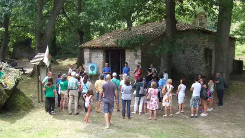 Visitas guiadas al arboreto de Liendo