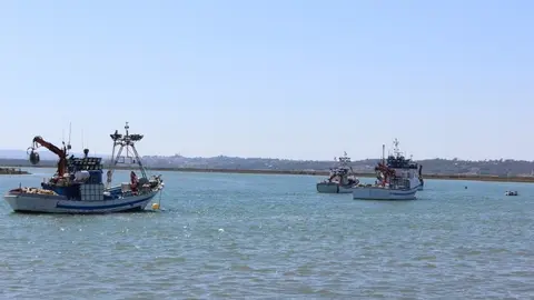 Barcos pesqueros