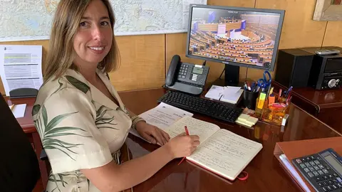 La consejera de Econom&iacute;a, Mar&iacute;a S&aacute;nchez, en el Comit&eacute; de las Regiones