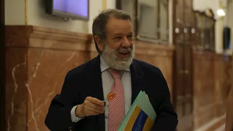 El Defensor del Pueblo en funciones, Francisco Fern&aacute;ndez Marug&aacute;n, en su reciente comparecencia en el Congreso