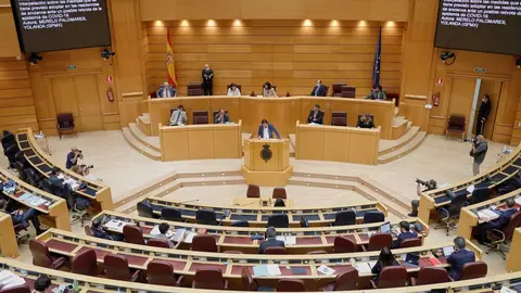 Imagen del Pleno del Senado celebrado esta semana.