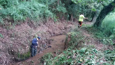 Limpieza de los m&aacute;rgenes del r&iacute;o