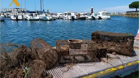 Nota De Prensa La Guardia Civil Desmantela Un Nuevo Vivero Clandestino