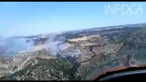 Incendio forestal en Coripe