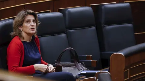 La vicepresidenta cuarta y ministra para la Transici&oacute;n Ecol&oacute;gica, Teresa Ribera , durante una sesi&oacute;n del Pleno del Congreso