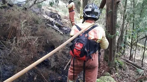 Incendio forestal en Vald&eacute;s.