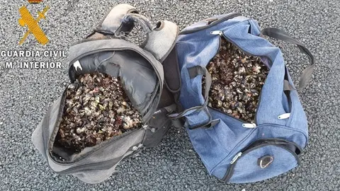 Nota De Prensa La Guardia Civil Incauta 40 Kilos De Percebes