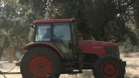 Tractor