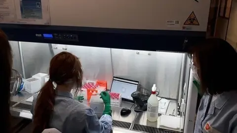 El Parlament Recolza Facilitar El Desenvolupament De Les Vacunes Contra La Covid 19