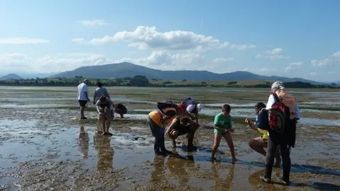 Marisqueo en Pedre&ntilde;a