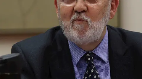 El presidente del Centro de Investigaciones Sociol&oacute;gicas, Jos&eacute; Felix Tez&aacute;nos.