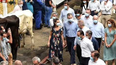 Los Reyes en el Mercado Nacional de Ganados de Torrelavega