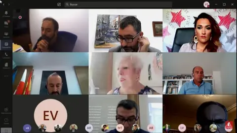 Pleno telem&aacute;tico de Torrelavega