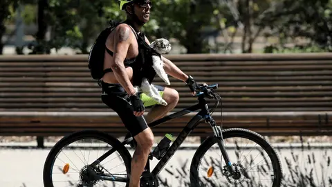 Un hombre pase en bicicleta con su perro en el Parque Madrid R&iacute;o, a 29 de julio de 2020. Una ola de calor llegar&aacute; ma&ntilde;ana a la Pen&iacute;nsula y Baleares, dejando temperaturas de 40&ordm;C en amplias zonas hasta por lo menos el s&aacute;bado, seg&uacute;n el aviso especial que emi