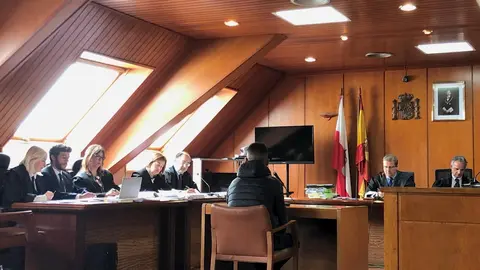 Juicio kamikaze que caus&oacute; la muerte de un joven en la A-67