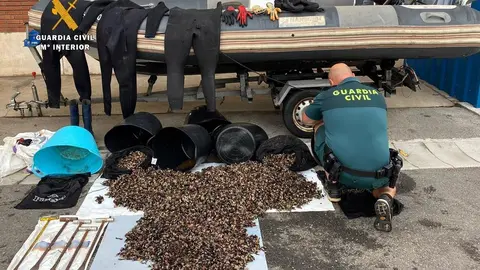 Nota De Prensa La Guardia Civil Incauta M&aacute;s De 100 Kg De Percebes
