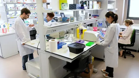 Equipo de investigaci&oacute;n de la UC