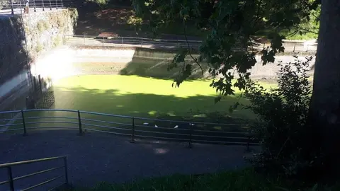 Estanque de Matale&ntilde;as