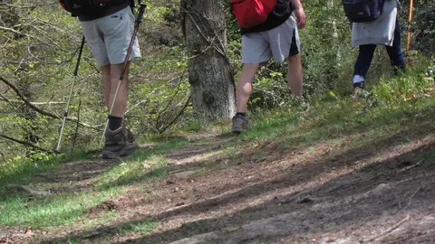 Naturaleza, Turismo Rural