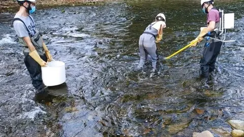 Actuaci&oacute;n de la CHCantabrico en Barcenilla