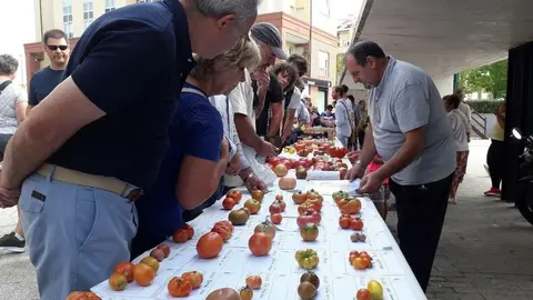 Feria del Tomate 2019
