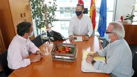 11:00 Horas  Sala De Reuniones De La Consejer&iacute;a (Tercera Planta)El Consejero De Desarrollo Rural, Ganader&iacute;a, Pesca, Alimentaci&oacute;n Y Medio Ambiente, Guillermo Blanco, Se Re&uacute;ne Con Representantes De La Cofrad&iacute;a Del Pimiento Y El Tomate. 18 Agosto 2020