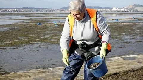                                 MARISCADORES . PEDRE&Ntilde;A. MARISCADORAS.
ALMEJAS.
6 11 2017