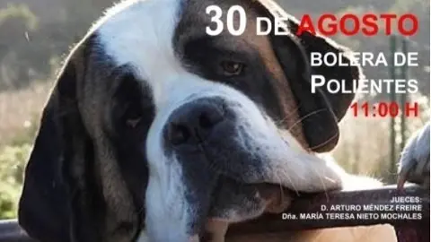 I Concurso Nacional Canino de Valderredible