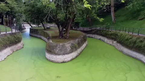 Estanque del prque de Matale&ntilde;as