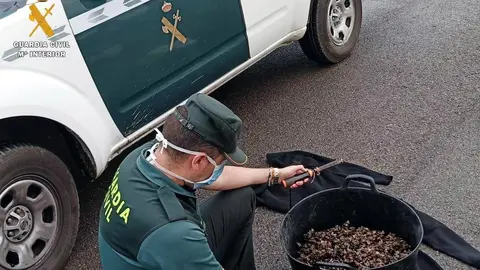 Rdo. Nota De Prensa Guardia Civil (Interceptados Tres Furtivos En Islares Con M&aacute;s De 20 Kilos De Percebes)