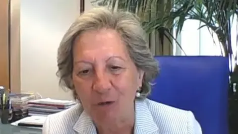 La presidenta de Unespa, Pilar Gonz&aacute;lez de Frutos, en el curso APIE-BBVA de la UIMP.