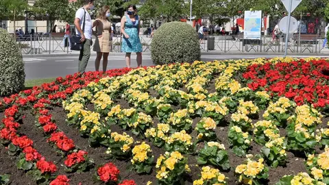 La rotonda de Puertochico lucir&aacute; la bandera de Espa&ntilde;a con flores rojas y amarillas hasta que llegue el nuevo m&aacute;stil