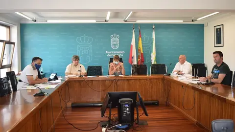 Pleno del Ayuntamiento de Pi&eacute;lagos