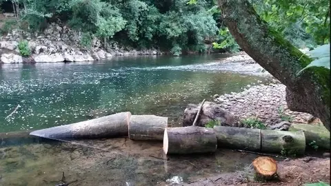 Trabajos de la CHC en el Saja