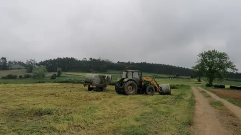 Trabajos en el campo, rural, agricultura, PAC, tractor.