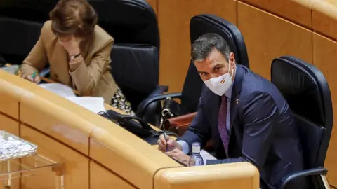 El presidente del Gobierno, Pedro S&aacute;nchez, durante su comparecencia celebrada ante el Pleno del Senado