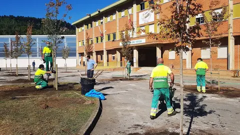 Plantaci&oacute;n de arbolado en el colegio Mies de Vega