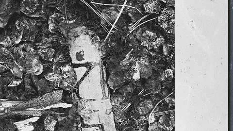 Exposici&oacute;n de Manuel Diego S&aacute;nchez