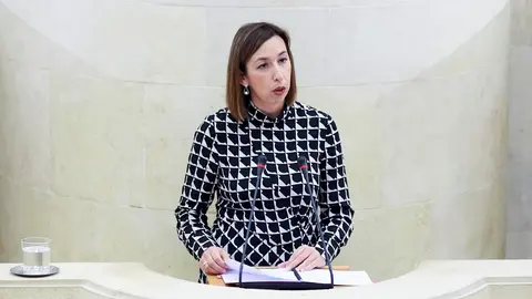 La consejera de Econom&iacute;a y Hacienda de Cantabria, Mar&iacute;a S&aacute;nchez, en el Parlamento. Archivo