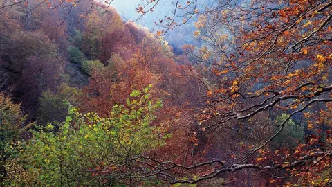 Oto&ntilde;o en Cantabria