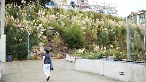 Zona de Santander donde se han hallado los restos humanos en descomposic&oacute;n.