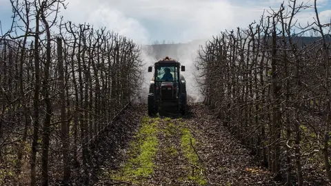 Imagen de recurso de un tractor.