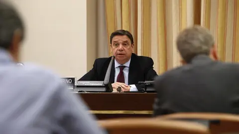 El ministro de Agricultura, Pesca y Alimentaci&oacute;n, Luis Planas, durante una comparecencia ante la comisi&oacute;n del ramo en el Congreso