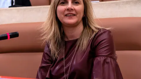 Cobo dice que los socialistas "cumplen con la hoja de ruta social en materia de empleo" 