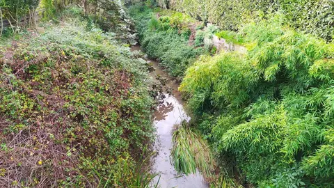 Limpieza en el r&iacute;o Cabo