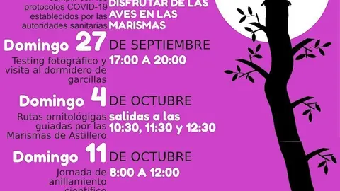 Cartel de actividades por el D&iacute;a Mundial de las Aves
