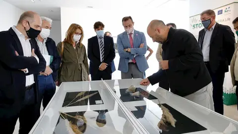 Guillermo Blanco Pone En Valor La Contribuci&oacute;n De Las Personas Con Discapacidad En La Lucha Contra El Plumero En Cantabria (Nota Y Foto)