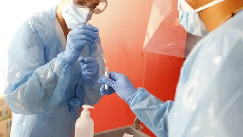 Realizaci&oacute;n y an&aacute;lisis de una prueba PCR.