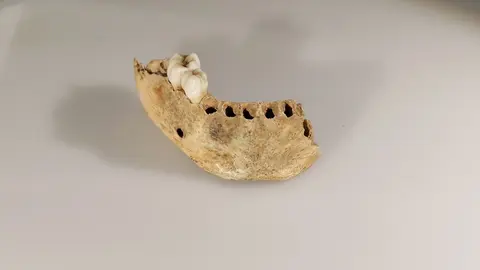 Mand&iacute;bula infantil de la cueva de El Castillo